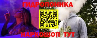соль курить ск Сланцы