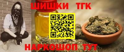 сатива Славгород