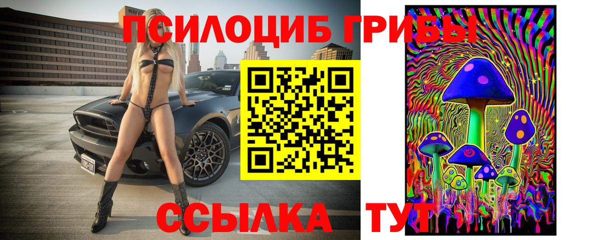 Галлюциногенные грибы ЛСД  Вход с VPN  Галлюциногенные грибы Psilocybe  Орехово-Зуево 
