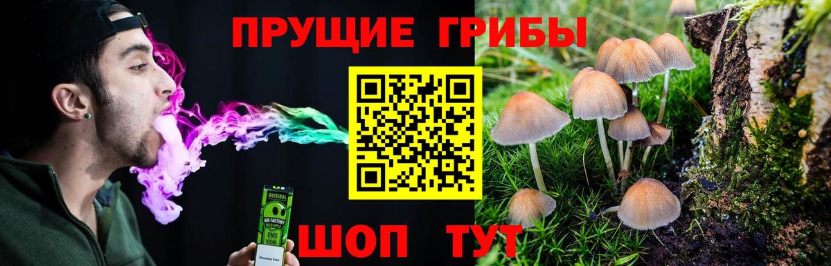 Марихуана  APVP СК кристаллы  Конопля  Кокаин  Меф   Орехово-Зуево  ГАШИШ  Вход с VPN 