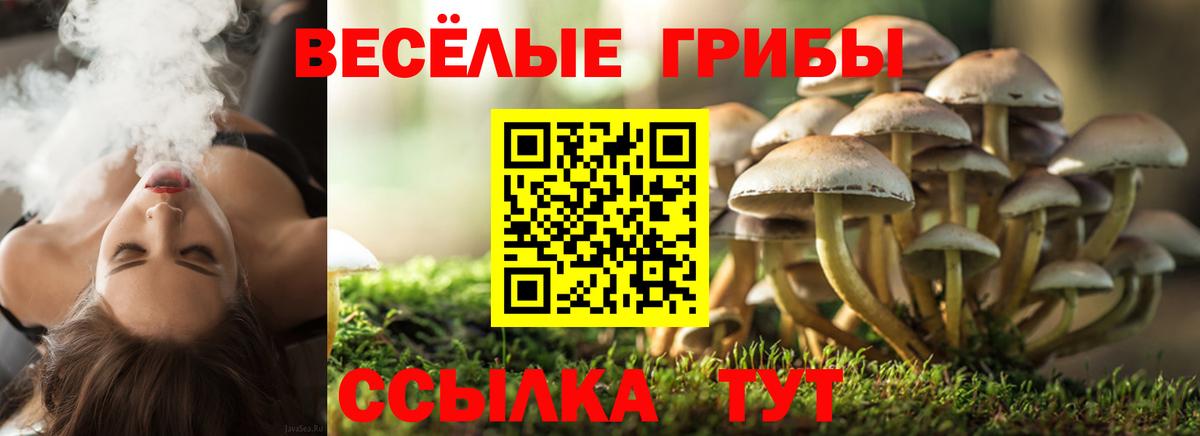 Галлюциногенные грибы ЛСД Орехово-Зуево
